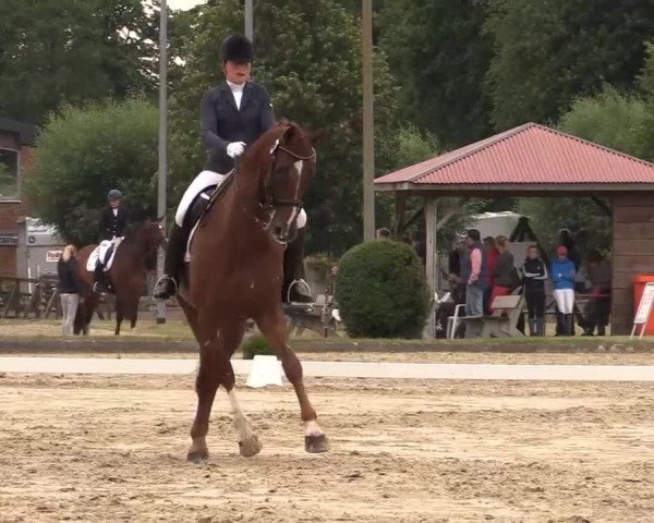 Reitturnier Münster-Roxel 2015
