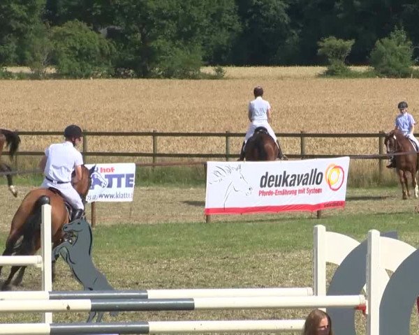Reitturnier Ahlhorn 2015