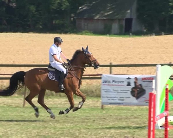 Reitturnier Ahlhorn 2015