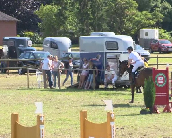 Reitturnier Ahlhorn 2015
