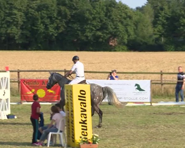 Reitturnier Ahlhorn 2015
