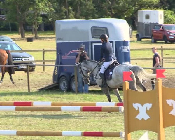 Reitturnier Ahlhorn 2015