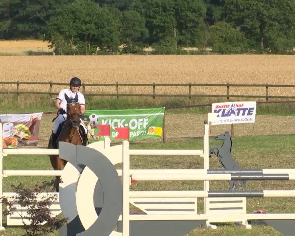 Reitturnier Ahlhorn 2015