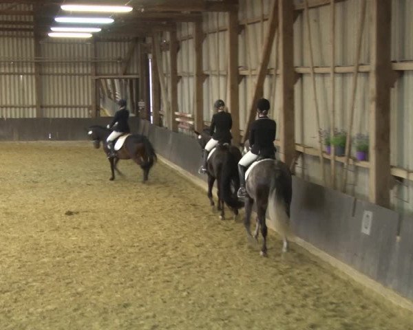 Reitturnier Grefrath - Reitanlage Heitzerend 2015
