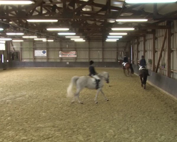 Reitturnier Grefrath - Reitanlage Heitzerend 2015