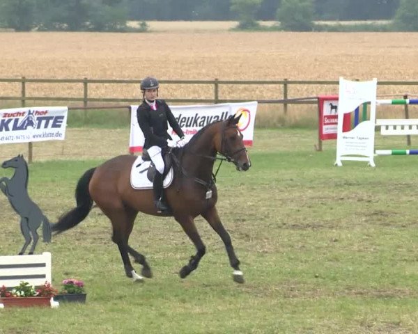 Reitturnier Ahlhorn 2015