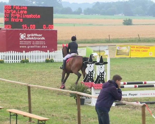 Reitturnier Ahlhorn 2015