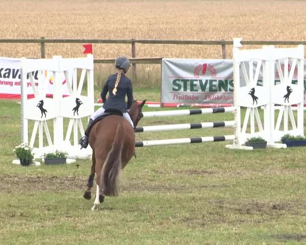 Reitturnier Ahlhorn 2015