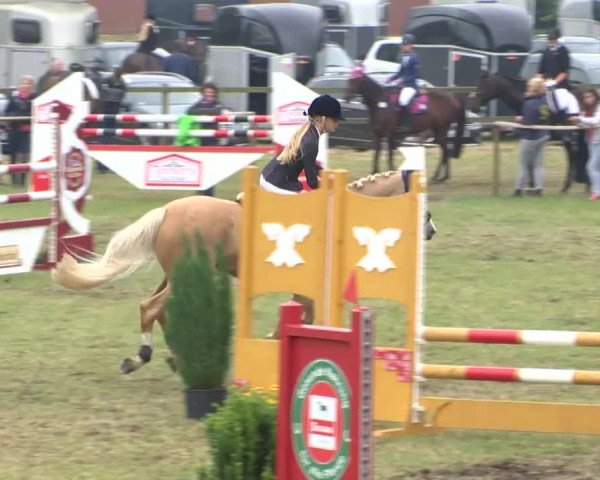 Reitturnier Ahlhorn 2015