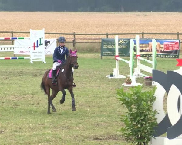 Reitturnier Ahlhorn 2015