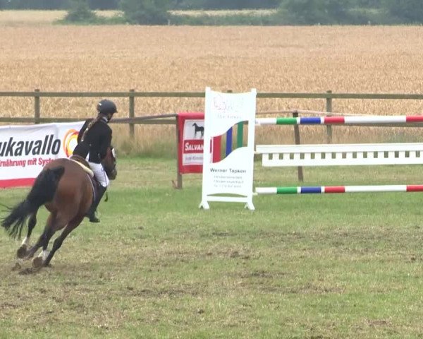 Reitturnier Ahlhorn 2015
