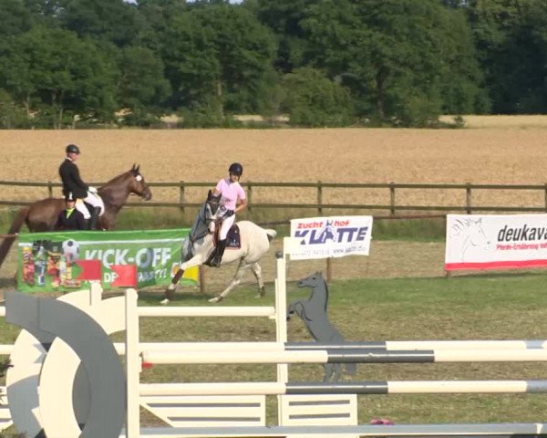 Reitturnier Ahlhorn 2015