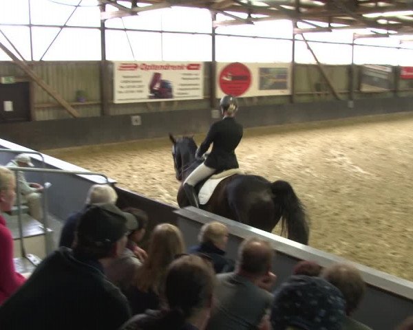 Reitturnier Grefrath - Reitanlage Heitzerend 2015