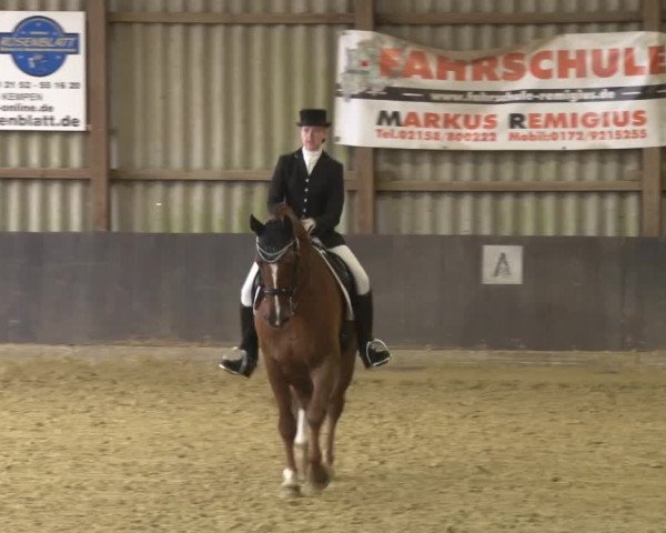 Reitturnier Grefrath - Reitanlage Heitzerend 2015