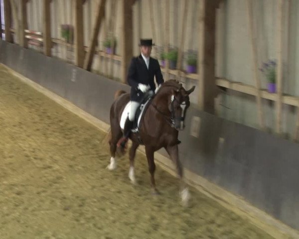 Reitturnier Grefrath - Reitanlage Heitzerend 2015