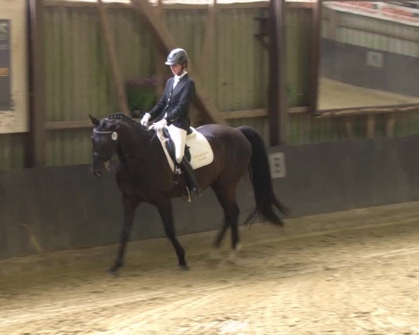 Reitturnier Grefrath - Reitanlage Heitzerend 2015