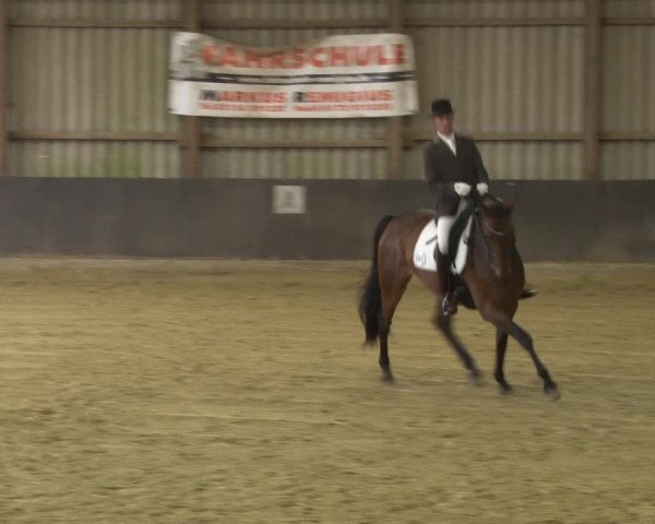 Reitturnier Grefrath - Reitanlage Heitzerend 2015