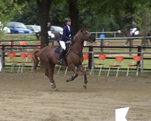 Reitturnier Grefrath - Reitanlage Heitzerend 2015