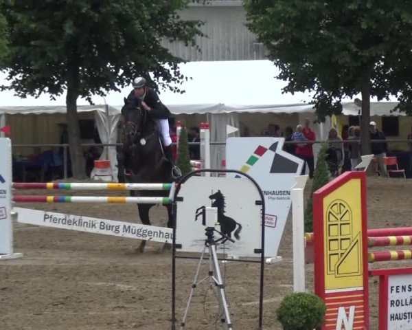 Reitturnier Grefrath - Reitanlage Heitzerend 2015