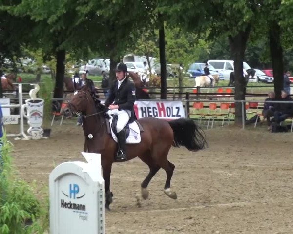 Reitturnier Grefrath - Reitanlage Heitzerend 2015