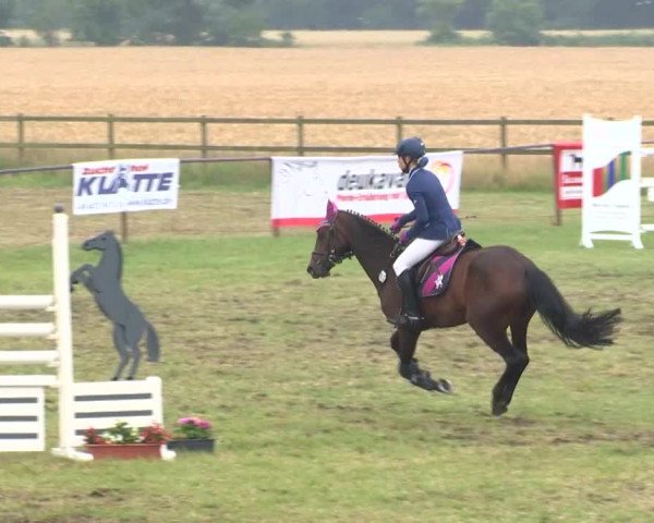 Reitturnier Ahlhorn 2015