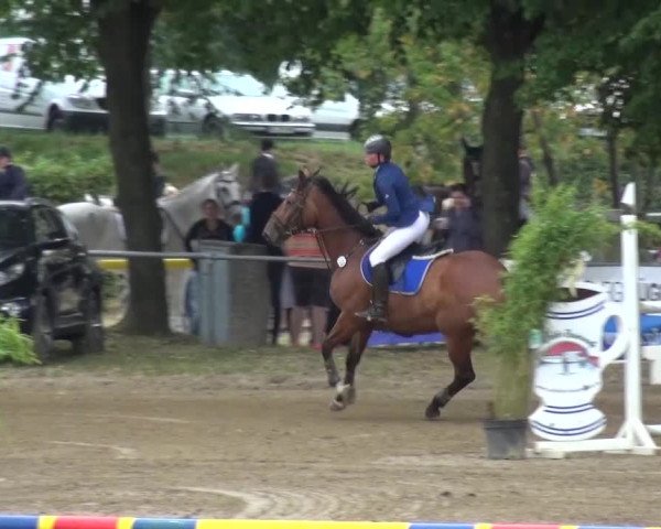 Reitturnier Grefrath - Reitanlage Heitzerend 2015