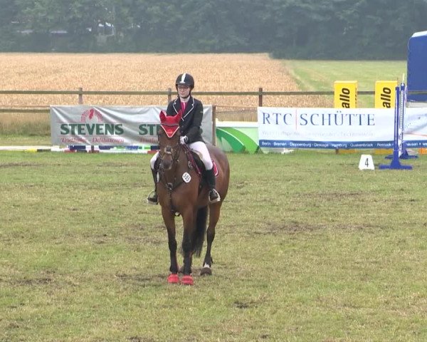 Reitturnier Ahlhorn 2015