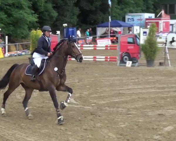 Reitturnier Grefrath - Reitanlage Heitzerend 2015