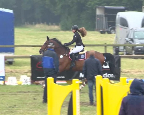 Reitturnier Ahlhorn 2015