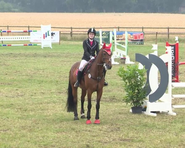 Reitturnier Ahlhorn 2015