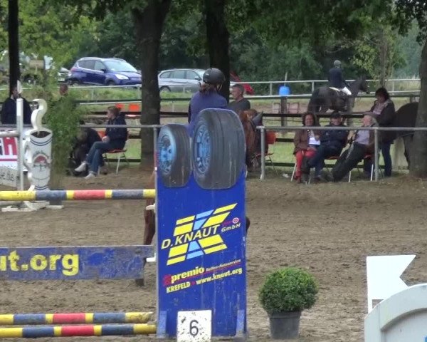 Reitturnier Grefrath - Reitanlage Heitzerend 2015