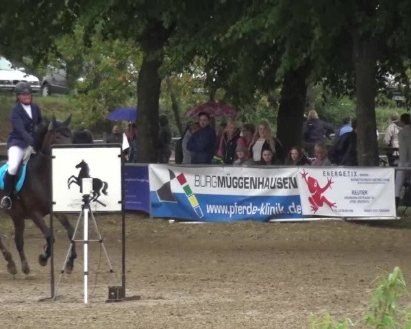 Reitturnier Grefrath - Reitanlage Heitzerend 2015