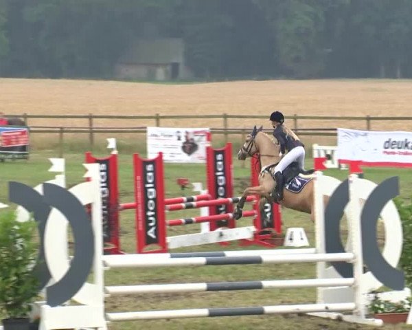Reitturnier Ahlhorn 2015