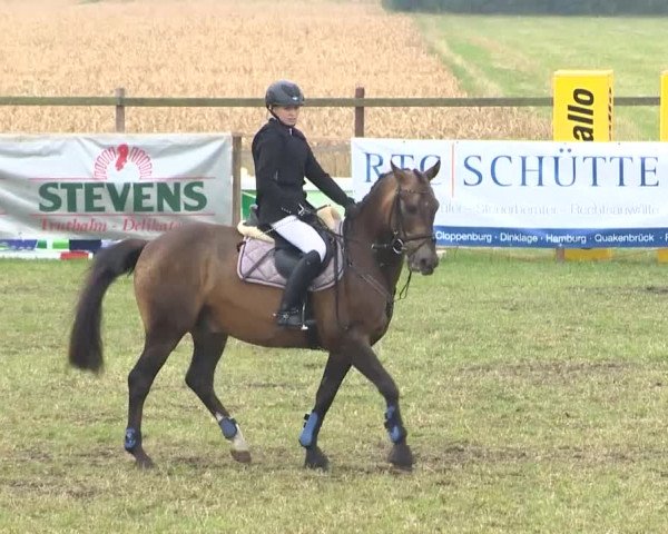 Reitturnier Ahlhorn 2015