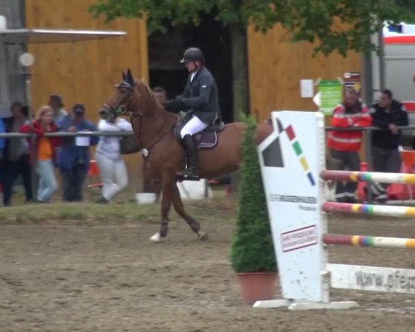 Reitturnier Grefrath - Reitanlage Heitzerend 2015