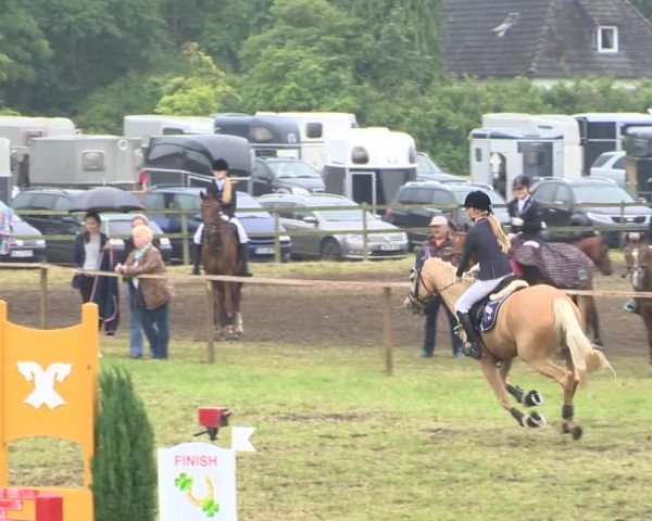 Reitturnier Ahlhorn 2015