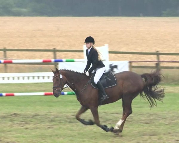 Reitturnier Ahlhorn 2015