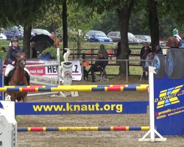 Reitturnier Grefrath - Reitanlage Heitzerend 2015