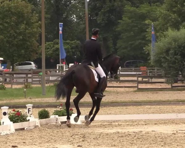 Reitturnier Münster-Roxel 2015