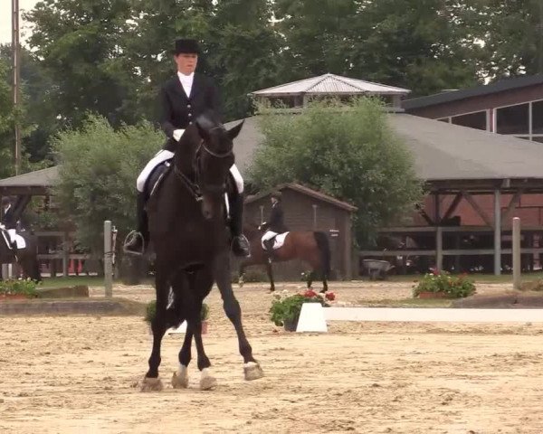 Reitturnier Münster-Roxel 2015