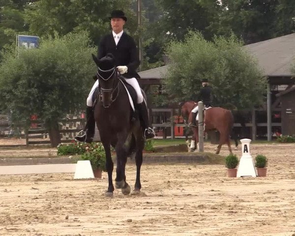 Reitturnier Münster-Roxel 2015