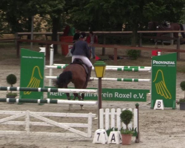 Reitturnier Münster-Roxel 2015