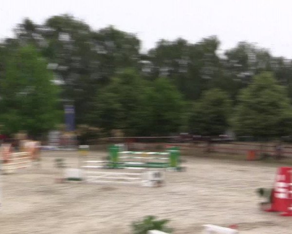 Reitturnier Münster-Roxel 2015