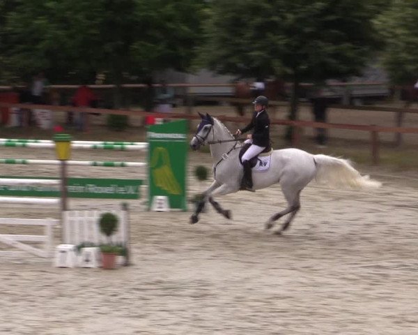 Reitturnier Münster-Roxel 2015