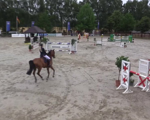 Reitturnier Münster-Roxel 2015