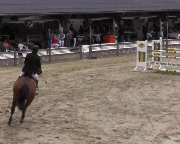 Reitturnier Münster-Roxel 2015