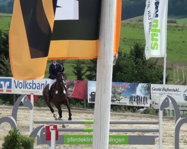 Reitturnier Lindlar-Süttenbach 2015