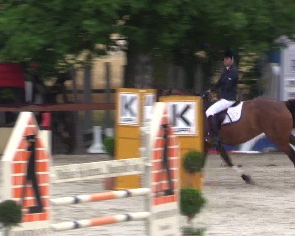 Reitturnier Münster-Roxel 2015
