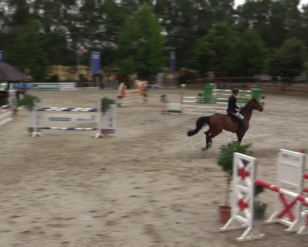 Reitturnier Münster-Roxel 2015