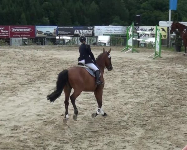 Reitturnier Lindlar-Süttenbach 2015